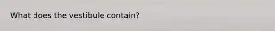 What does the vestibule contain?