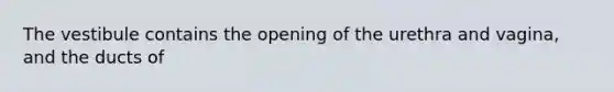 The vestibule contains the opening of the urethra and vagina, and the ducts of