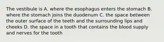 The vestibule is A. where the esophagus enters the stomach B. where the stomach joins the duodenum C. the space between the outer surface of the teeth and the surrounding lips and cheeks D. the space in a tooth that contains the blood supply and nerves for the tooth