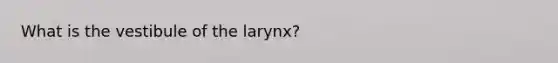 What is the vestibule of the larynx?