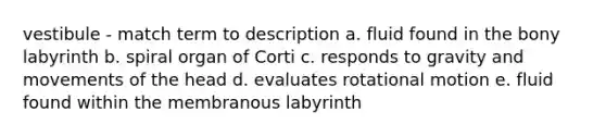 vestibule - match term to description a. fluid found in the bony labyrinth b. spiral organ of Corti c. responds to gravity and movements of the head d. evaluates rotational motion e. fluid found within the membranous labyrinth