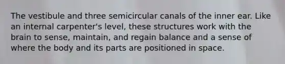 The vestibule and three semicircular canals of the inner ear. Like an internal carpenter's level, these structures work with <a href='https://www.questionai.com/knowledge/kLMtJeqKp6-the-brain' class='anchor-knowledge'>the brain</a> to sense, maintain, and regain balance and a sense of where the body and its parts are positioned in space.