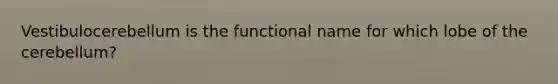 Vestibulocerebellum is the functional name for which lobe of the cerebellum?