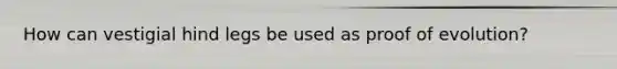 How can vestigial hind legs be used as proof of evolution?