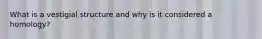What is a vestigial structure and why is it considered a homology?