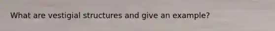 What are vestigial structures and give an example?
