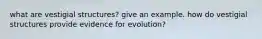 what are vestigial structures? give an example. how do vestigial structures provide evidence for evolution?