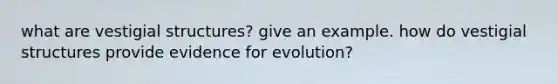 what are vestigial structures? give an example. how do vestigial structures provide evidence for evolution?