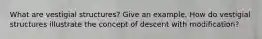 What are vestigial structures? Give an example. How do vestigial structures illustrate the concept of descent with modification?