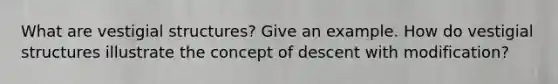 What are vestigial structures? Give an example. How do vestigial structures illustrate the concept of descent with modification?