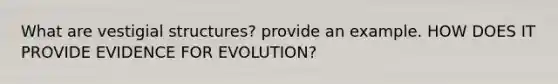 What are vestigial structures? provide an example. HOW DOES IT PROVIDE EVIDENCE FOR EVOLUTION?