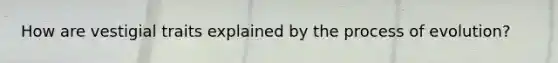 How are vestigial traits explained by the process of evolution?