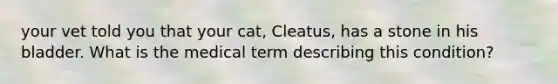 your vet told you that your cat, Cleatus, has a stone in his bladder. What is the medical term describing this condition?