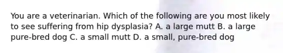 You are a veterinarian. Which of the following are you most likely to see suffering from hip dysplasia? A. a large mutt B. a large pure-bred dog C. a small mutt D. a small, pure-bred dog