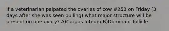 If a veterinarian palpated the ovaries of cow #253 on Friday (3 days after she was seen bulling) what major structure will be present on one ovary? A)Corpus luteum B)Dominant follicle