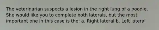 The veterinarian suspects a lesion in the right lung of a poodle. She would like you to complete both laterals, but the most important one in this case is the: a. Right lateral b. Left lateral