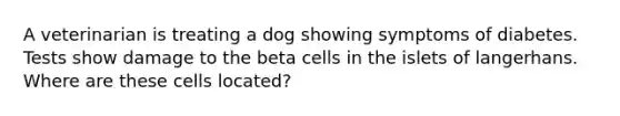 A veterinarian is treating a dog showing symptoms of diabetes. Tests show damage to the beta cells in the islets of langerhans. Where are these cells located?