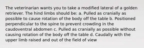 The veterinarian wants you to take a modified lateral of a golden retriever. The hind limbs should be: a. Pulled as cranially as possible to cause rotation of the body off the table b. Positioned perpendicular to the spine to prevent crowding in the caudoventral abdomen c. Pulled as cranially as possible without causing rotation of the body off the table d. Caudally with the upper limb raised and out of the field of view