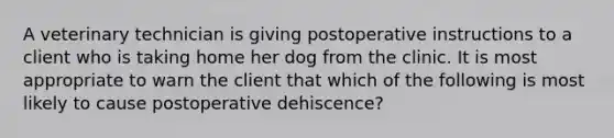 A veterinary technician is giving postoperative instructions to a client who is taking home her dog from the clinic. It is most appropriate to warn the client that which of the following is most likely to cause postoperative dehiscence?