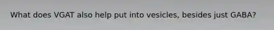 What does VGAT also help put into vesicles, besides just GABA?