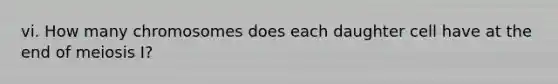 vi. How many chromosomes does each daughter cell have at the end of meiosis I?