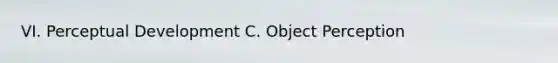 VI. Perceptual Development C. Object Perception