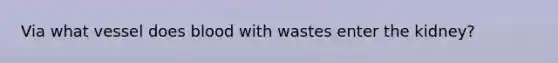 Via what vessel does blood with wastes enter the kidney?