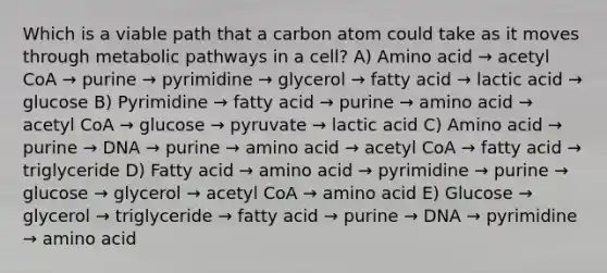 Which is a viable path that a carbon atom could take as it moves through metabolic pathways in a cell? A) Amino acid → acetyl CoA → purine → pyrimidine → glycerol → fatty acid → lactic acid → glucose B) Pyrimidine → fatty acid → purine → amino acid → acetyl CoA → glucose → pyruvate → lactic acid C) Amino acid → purine → DNA → purine → amino acid → acetyl CoA → fatty acid → triglyceride D) Fatty acid → amino acid → pyrimidine → purine → glucose → glycerol → acetyl CoA → amino acid E) Glucose → glycerol → triglyceride → fatty acid → purine → DNA → pyrimidine → amino acid