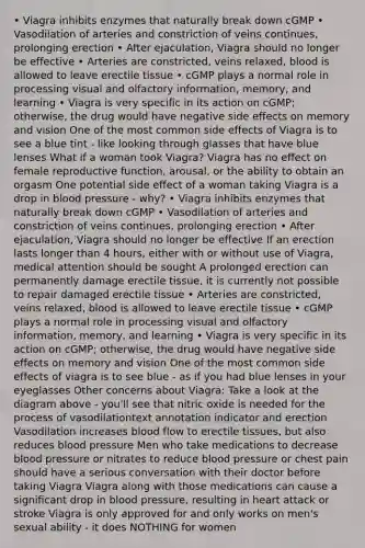 • Viagra inhibits enzymes that naturally break down cGMP • Vasodilation of arteries and constriction of veins continues, prolonging erection • After ejaculation, Viagra should no longer be effective • Arteries are constricted, veins relaxed, blood is allowed to leave erectile tissue • cGMP plays a normal role in processing visual and olfactory information, memory, and learning • Viagra is very specific in its action on cGMP; otherwise, the drug would have negative side effects on memory and vision One of the most common side effects of Viagra is to see a blue tint - like looking through glasses that have blue lenses What if a woman took Viagra? Viagra has no effect on female reproductive function, arousal, or the ability to obtain an orgasm One potential side effect of a woman taking Viagra is a drop in blood pressure - why? • Viagra inhibits enzymes that naturally break down cGMP • Vasodilation of arteries and constriction of veins continues, prolonging erection • After ejaculation, Viagra should no longer be effective If an erection lasts longer than 4 hours, either with or without use of Viagra, medical attention should be sought A prolonged erection can permanently damage erectile tissue, it is currently not possible to repair damaged erectile tissue • Arteries are constricted, veins relaxed, blood is allowed to leave erectile tissue • cGMP plays a normal role in processing visual and olfactory information, memory, and learning • Viagra is very specific in its action on cGMP; otherwise, the drug would have negative side effects on memory and vision One of the most common side effects of viagra is to see blue - as if you had blue lenses in your eyeglasses Other concerns about Viagra: Take a look at the diagram above - you'll see that nitric oxide is needed for the process of vasodilationtext annotation indicator and erection Vasodilation increases blood flow to erectile tissues, but also reduces blood pressure Men who take medications to decrease blood pressure or nitrates to reduce blood pressure or chest pain should have a serious conversation with their doctor before taking Viagra Viagra along with those medications can cause a significant drop in blood pressure, resulting in heart attack or stroke Viagra is only approved for and only works on men's sexual ability - it does NOTHING for women