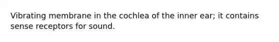 Vibrating membrane in the cochlea of the inner ear; it contains sense receptors for sound.