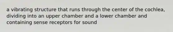 a vibrating structure that runs through the center of the cochlea, dividing into an upper chamber and a lower chamber and containing sense receptors for sound