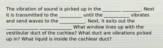 The vibration of sound is picked up in the ________ ________. Next it is transmitted to the __________ until the ___________ vibrates and send waves to the ___________. Next, it exits out the ______________ ______________ What window lines up with the vestibular duct of the cochlea? What duct are vibrations picked up in? What liquid is inside the cochlear duct?