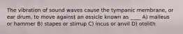 The vibration of sound waves cause the tympanic membrane, or ear drum, to move against an ossicle known as ____ A) malleus or hammer B) stapes or stirrup C) incus or anvil D) otolith