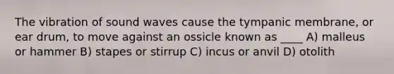 The vibration of sound waves cause the tympanic membrane, or ear drum, to move against an ossicle known as ____ A) malleus or hammer B) stapes or stirrup C) incus or anvil D) otolith