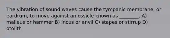 The vibration of sound waves cause the tympanic membrane, or eardrum, to move against an ossicle known as ________. A) malleus or hammer B) incus or anvil C) stapes or stirrup D) otolith