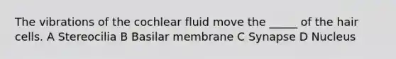 The vibrations of the cochlear fluid move the _____ of the hair cells. A Stereocilia B Basilar membrane C Synapse D Nucleus