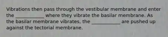 Vibrations then pass through the vestibular membrane and enter the ____________ where they vibrate the basilar membrane. As the basilar membrane vibrates, the ____________ are pushed up against the tectorial membrane.