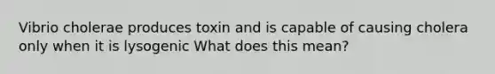 Vibrio cholerae produces toxin and is capable of causing cholera only when it is lysogenic What does this mean?