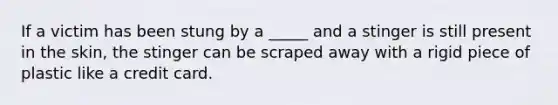 If a victim has been stung by a _____ and a stinger is still present in the skin, the stinger can be scraped away with a rigid piece of plastic like a credit card.