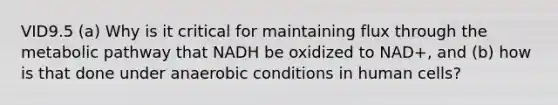 VID9.5 (a) Why is it critical for maintaining flux through the metabolic pathway that NADH be oxidized to NAD+, and (b) how is that done under anaerobic conditions in human cells?