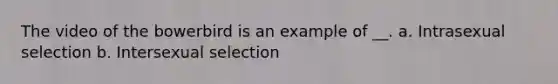The video of the bowerbird is an example of __. a. Intrasexual selection b. Intersexual selection