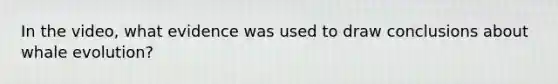 In the video, what evidence was used to draw conclusions about whale evolution?