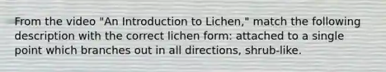 From the video "An Introduction to Lichen," match the following description with the correct lichen form: attached to a single point which branches out in all directions, shrub-like.