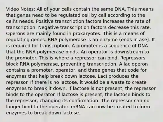 Video Notes: All of your cells contain the same DNA. This means that genes need to be regulated cell by cell according to the cell's needs. Positive transcription factors increases the rate of transcription. Negative transcription factors decrease this rate. Operons are mainly found in prokaryotes. This is a means of regulating genes. RNA polymerase is an enzyme (ends in ase). It is required for transcription. A promoter is a sequence of DNA that the RNA polymerase binds. An operator is downstream to the promoter. This is where a repressor can bind. Repressors block RNA polymerase, preventing transcription. A lac operon contains a promoter, operator, and three genes that code for enzymes that help break down lactose. LacI produces the repressor. If there is no lactose, it would be a waste to create enzymes to break it down. If lactose is not present, the repressor binds to the operator. If lactose is present, the lactose binds to the repressor, changing its confirmation. The repressor can no longer bind to the operator. mRNA can now be created to form enzymes to break down lactose.