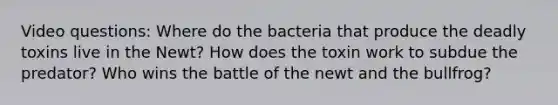 Video questions: Where do the bacteria that produce the deadly toxins live in the Newt? How does the toxin work to subdue the predator? Who wins the battle of the newt and the bullfrog?