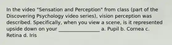 In the video "Sensation and Perception" from class (part of the Discovering Psychology video series), vision perception was described. Specifically, when you view a scene, is it represented upside down on your _________________ a. Pupil b. Cornea c. Retina d. Iris