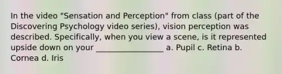 In the video "Sensation and Perception" from class (part of the Discovering Psychology video series), vision perception was described. Specifically, when you view a scene, is it represented upside down on your _________________ a. Pupil c. Retina b. Cornea d. Iris