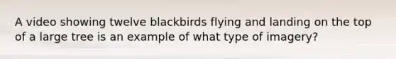 A video showing twelve blackbirds flying and landing on the top of a large tree is an example of what type of imagery?