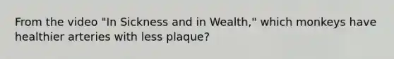 From the video "In Sickness and in Wealth," which monkeys have healthier arteries with less plaque?