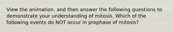 View the animation, and then answer the following questions to demonstrate your understanding of mitosis. Which of the following events do NOT occur in prophase of mitosis?